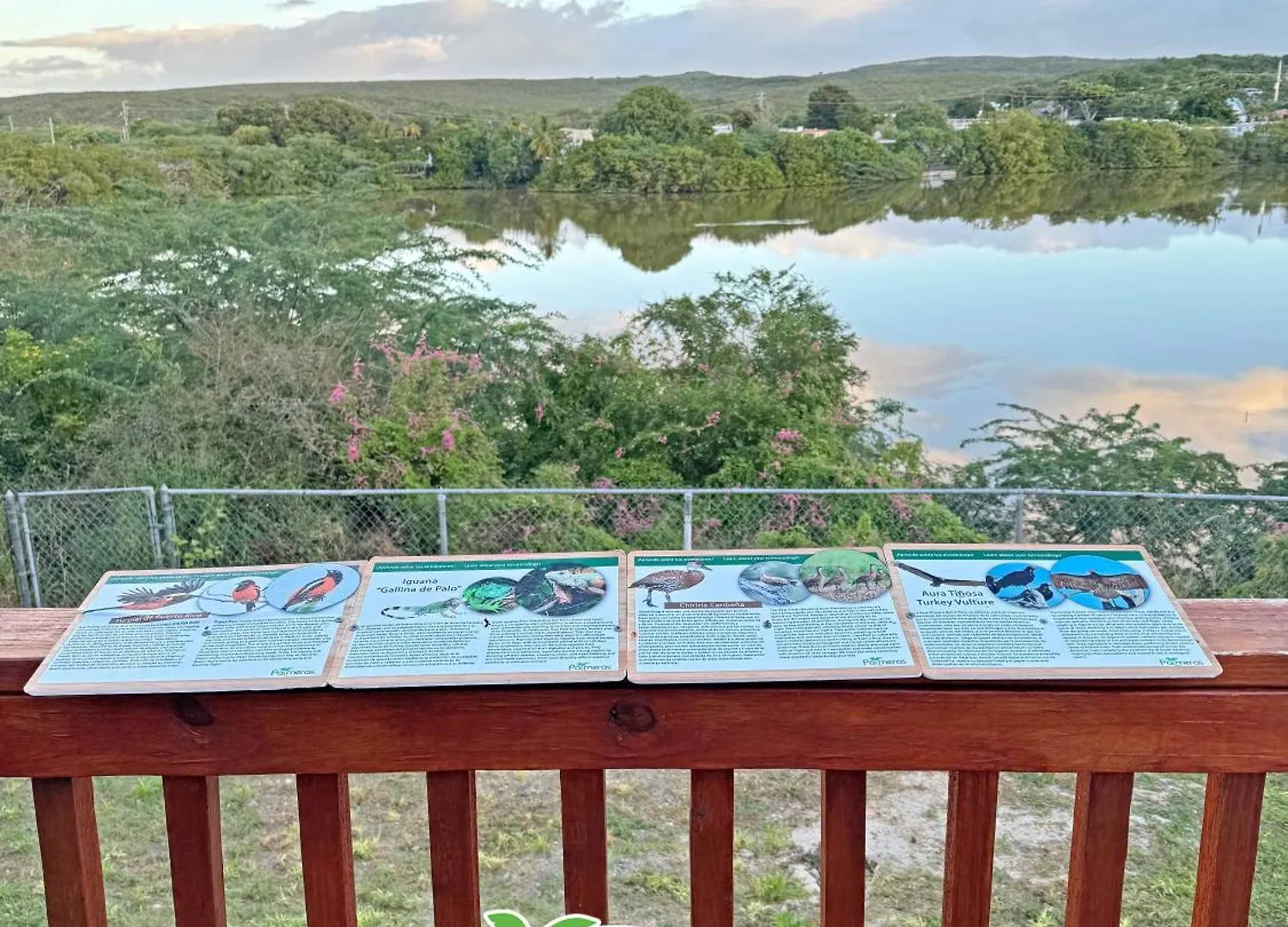 Palmeras Beach Apartments - Playa Santa Guanica